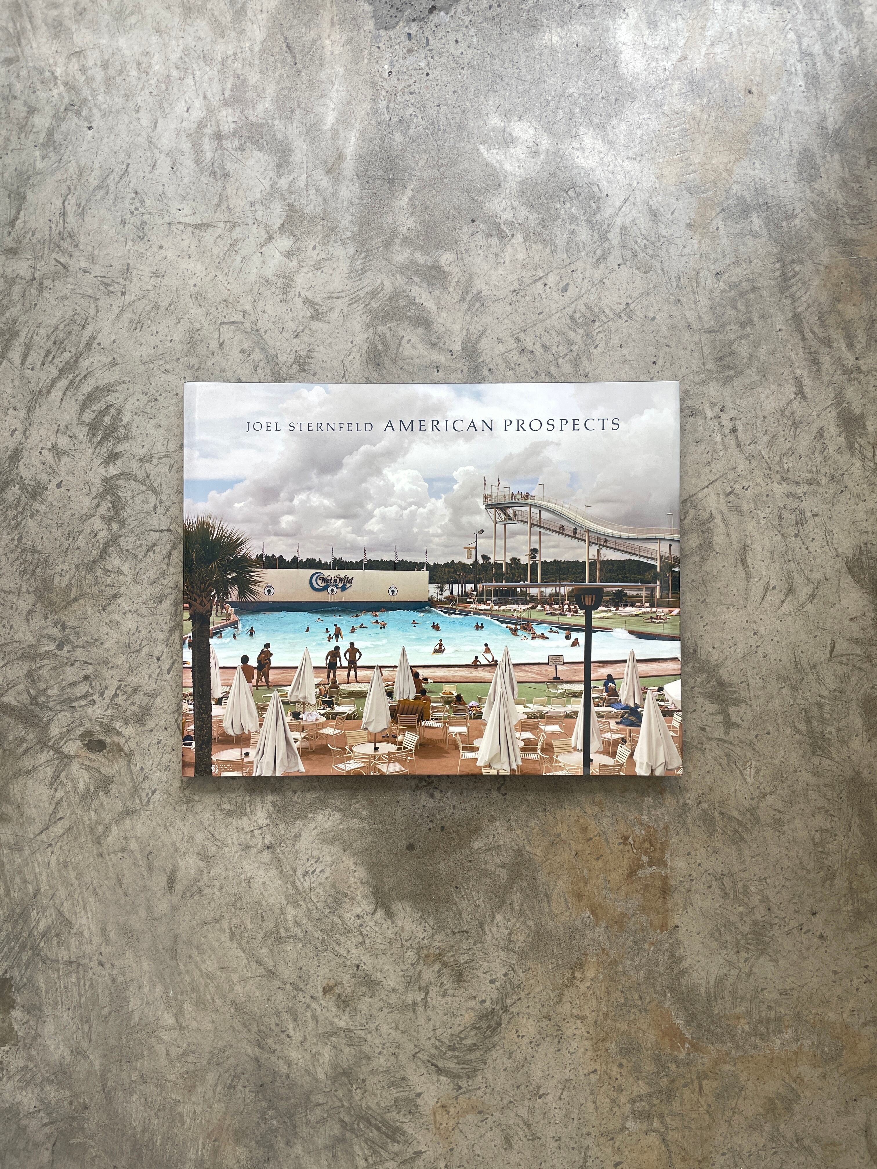 457.Joel Sternfeld American Prospects | 帽子堂