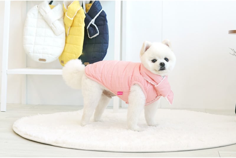 【SALE】軽量ダウンベスト 中型犬 大型犬 2XL 〜 5XL  4color  /  犬服 犬の服 犬 パーカー アウター シンプル 暖かい 防寒 ドッグウェア 