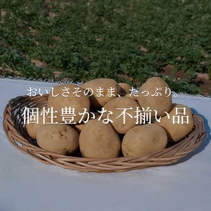 【訳あり】ニセコ産 じゃがいも 選べる3品種 約9.5kg （サイズ混合）