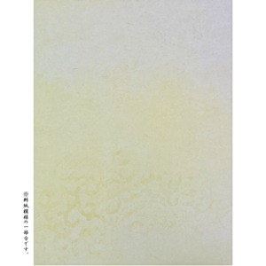仮名印刷料紙 明日香 中字用 100枚(5色・各20枚) | 天義堂