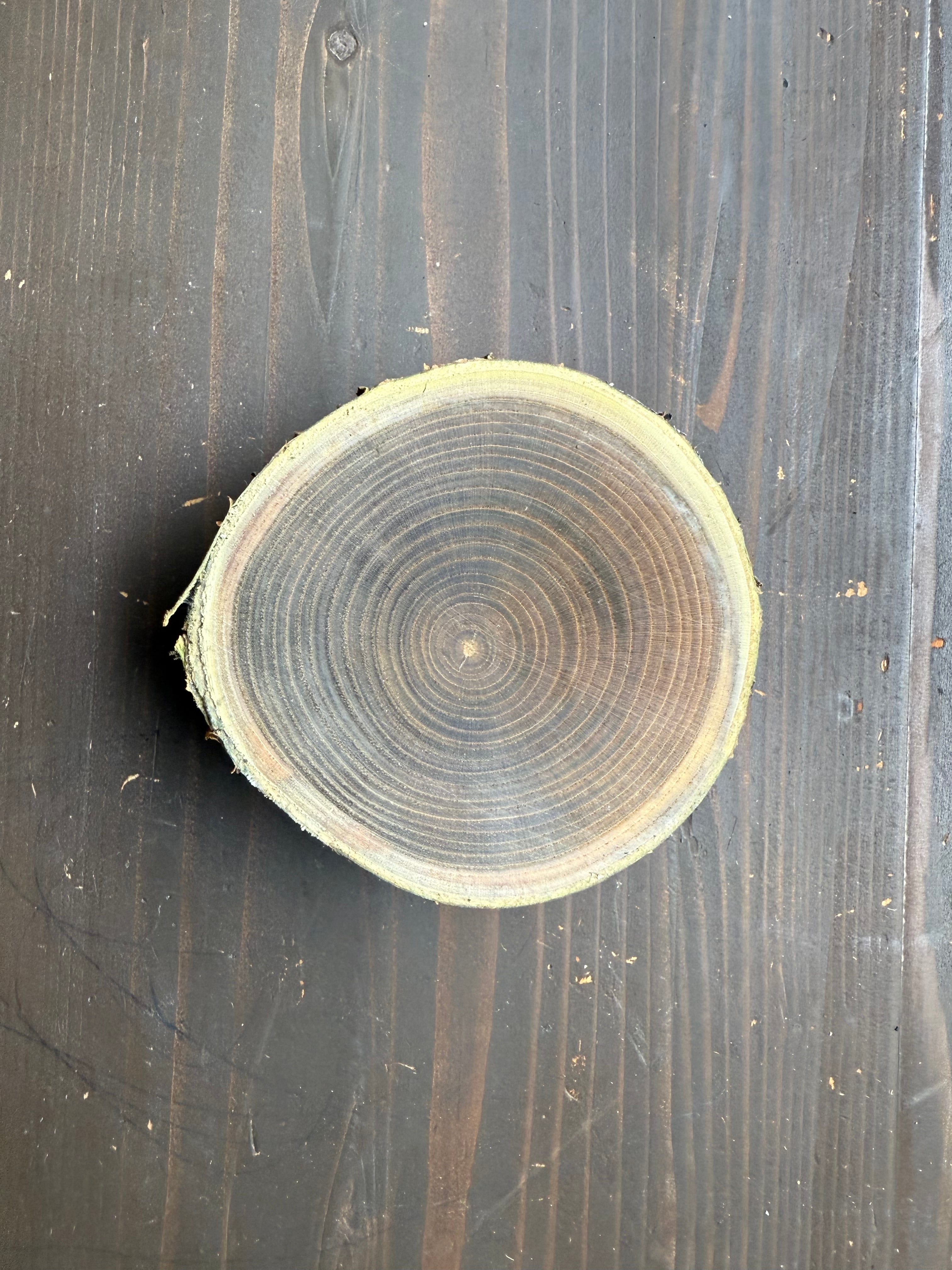 槐（えんじゅ）の木 丸太 【縁起の良い木】 | 水窪の星の駅碧-AOI-