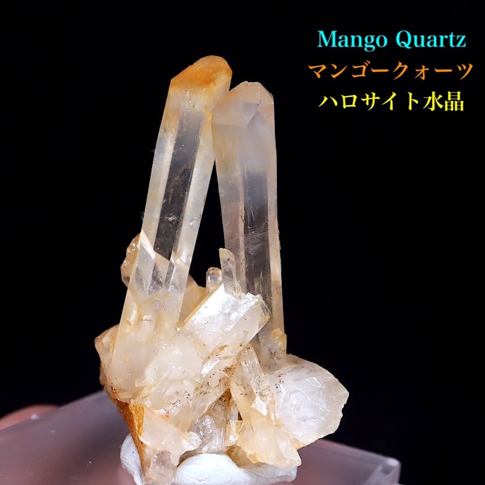SALE※ スモーキー クォーツ on 珪化木 煙水晶 301g SQZ078 鉱物 原石