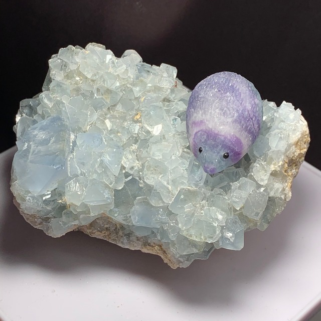 5セレスタイトに住み着いているフローライトハリネズミさん