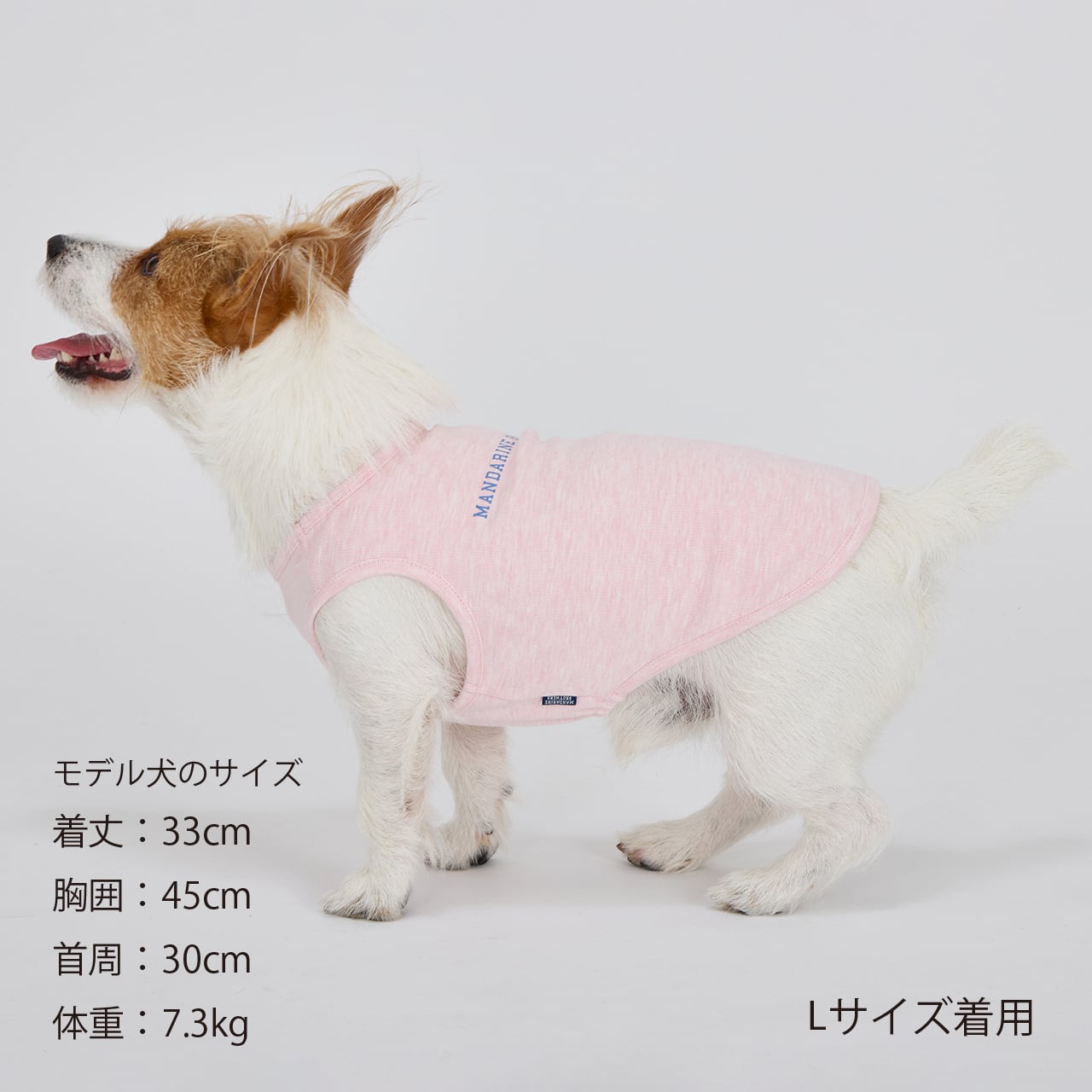 TENDER CARE T-SHIRT（M.MD.L） テンダーケアTシャツ | MANDARINE