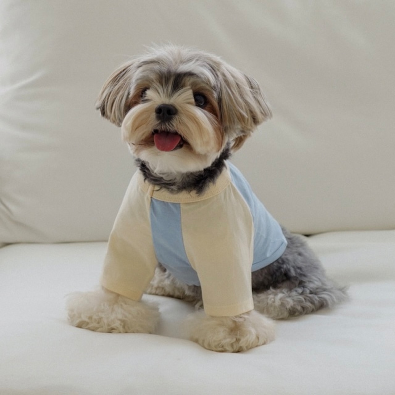 【即納】Raglan Crop T-shirt｜Yellow - 4