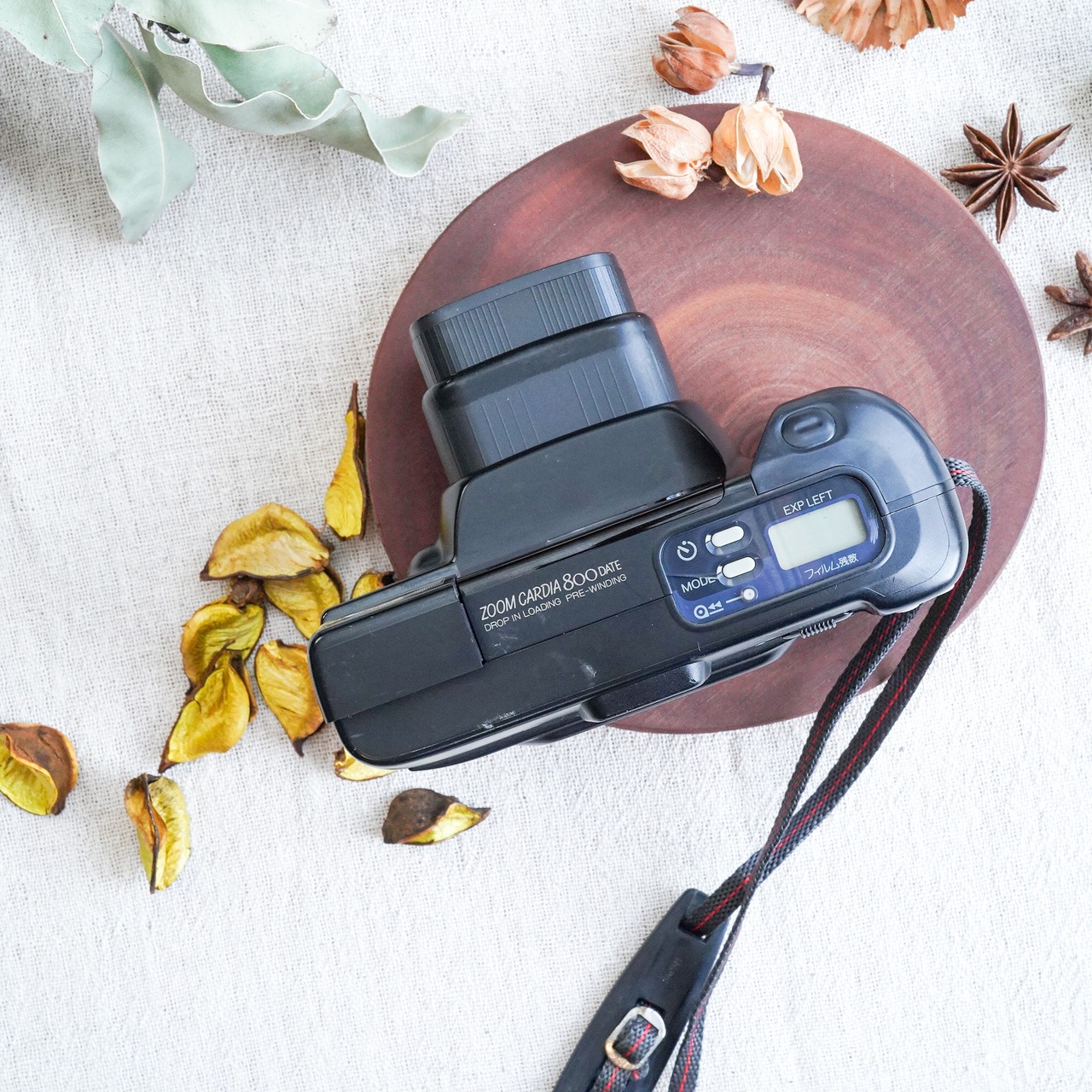 【Fuji】zoom Cardia 800 安定感のあるコンパクトカメラ セール品