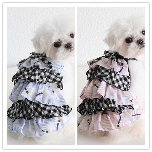 《予約》№2101558 パリコレ!チェックツートンキャミ