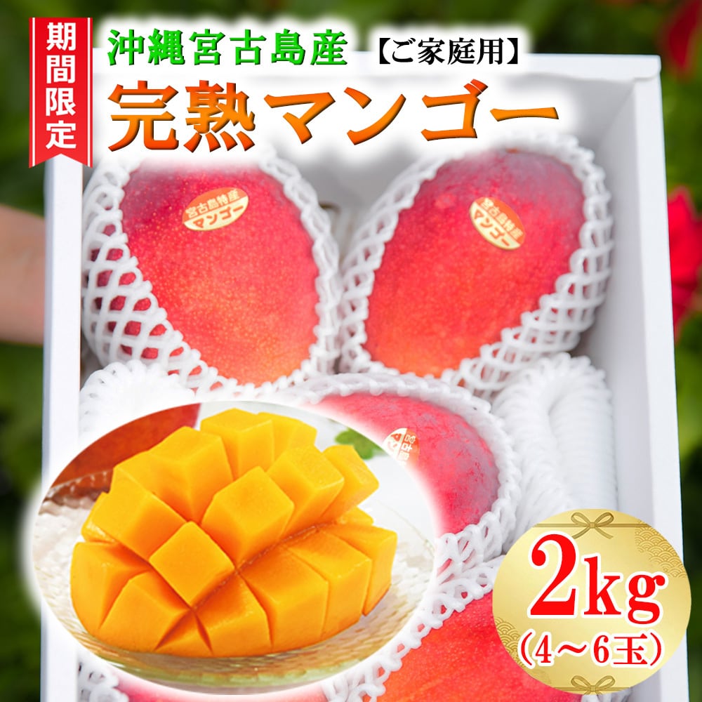 お中元 夏ギフト とろける食感!沖縄県 宮古島 朝採れ完熟マンゴー【 ご家庭用 】2kg(4~6玉) ( 沖縄 国内最高峰 アップルマンゴー 完熟の甘い香り 濃厚で深い甘み 太陽の恵みをたっぷり受けました! ) 送料無料!!