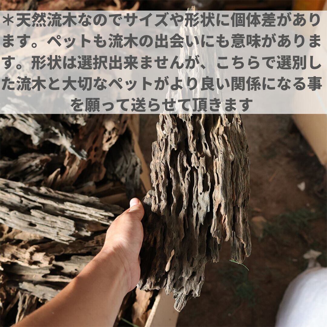 アクアリウム 流木 ーVer2ー 形状お任せタイプ 21〜25c_86
