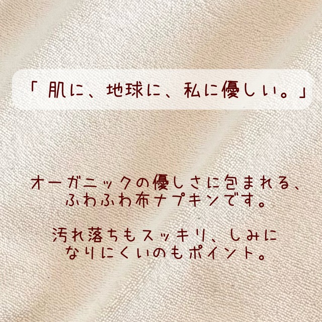 布ライナー 4枚セット パイル オーガニック 405