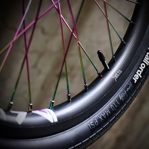 DELTΔ BMX SUPER LIGHT CARBON REAR WHEEL (20INCH)