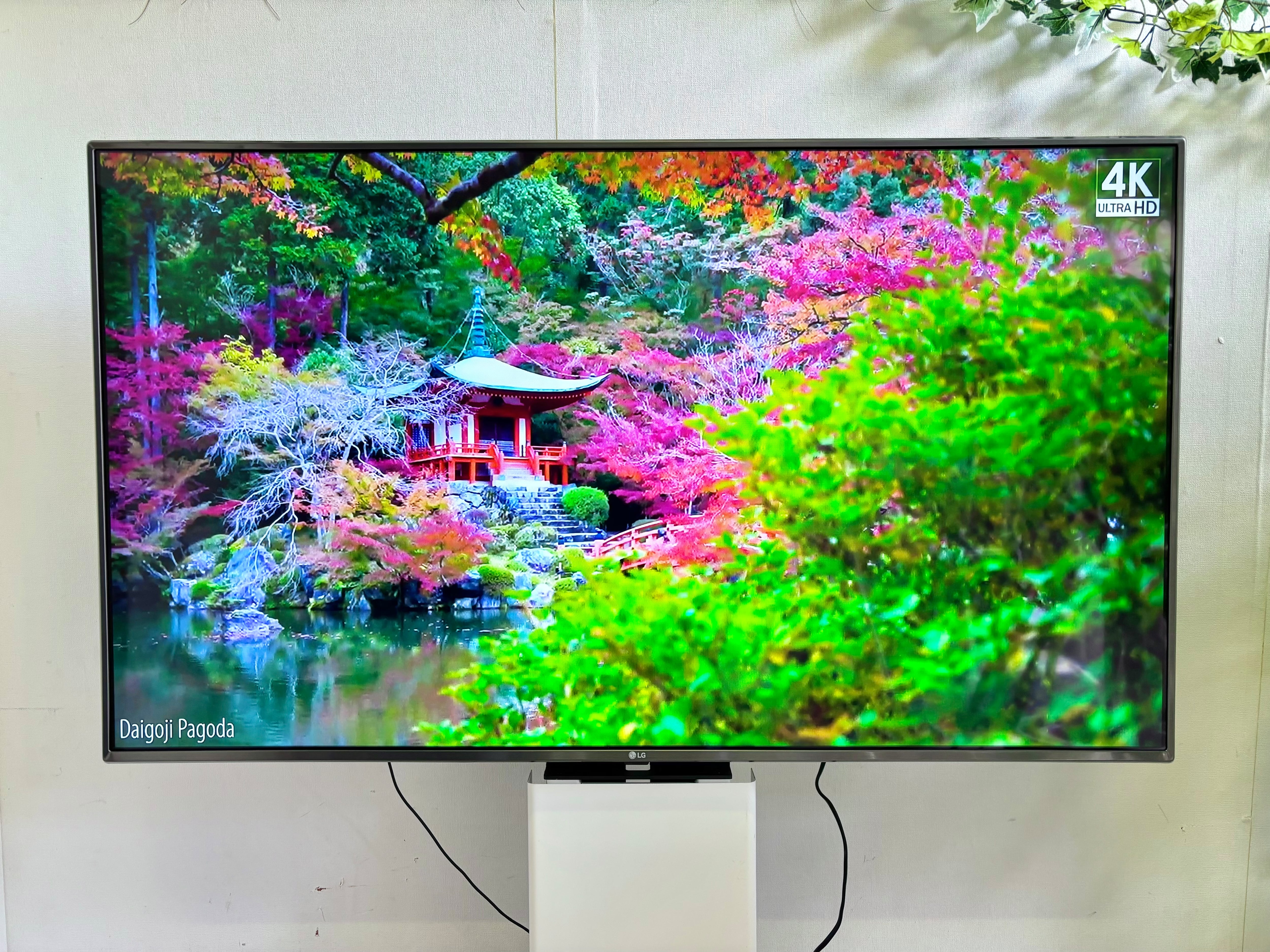 55型 LG 4K対応 液晶テレビ スタンド付き 2018年製 | 【オンライン