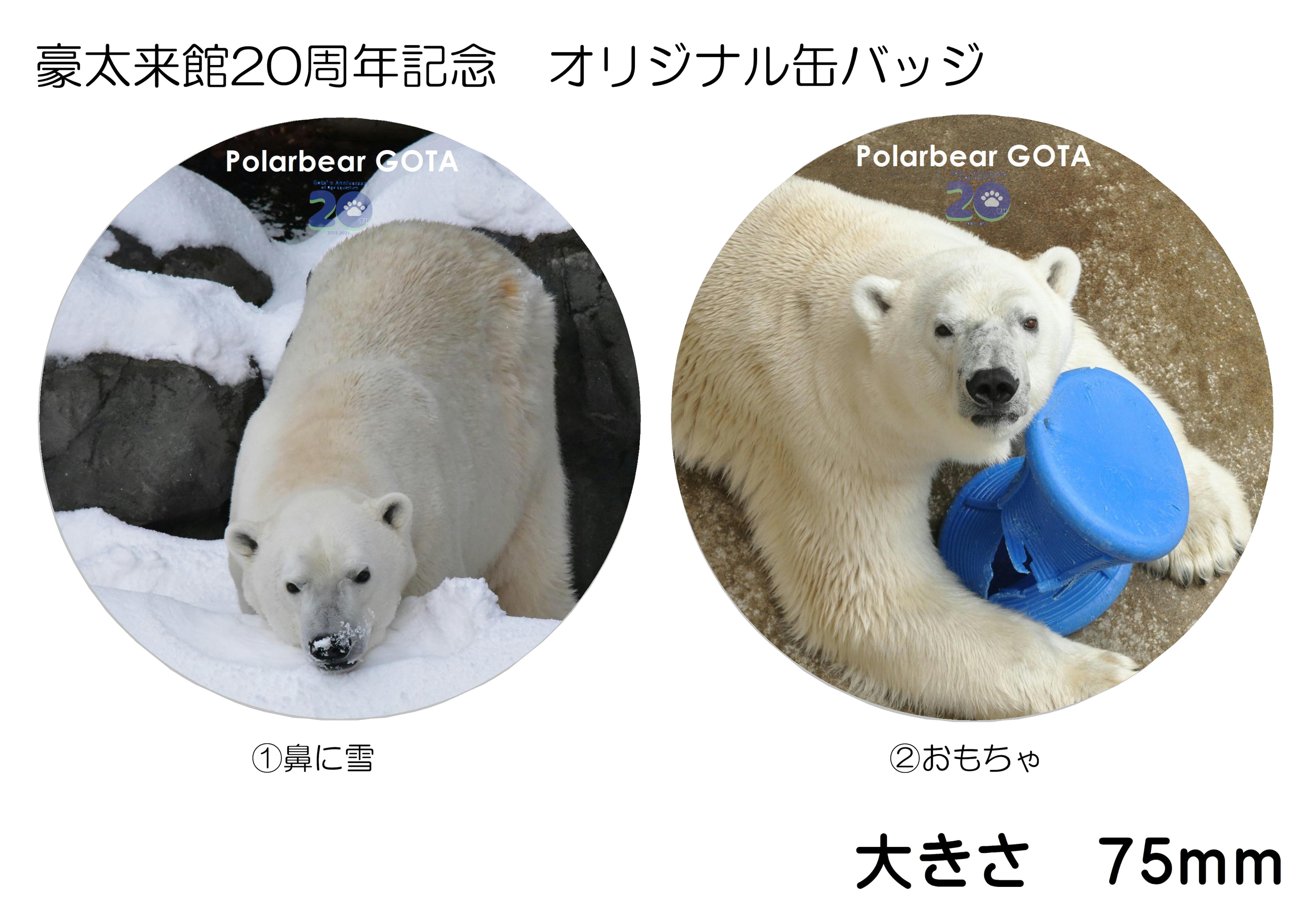 豪太20周年グッズ 缶バッジ（75mm）各種 | 男鹿水族館GAO Online Shop