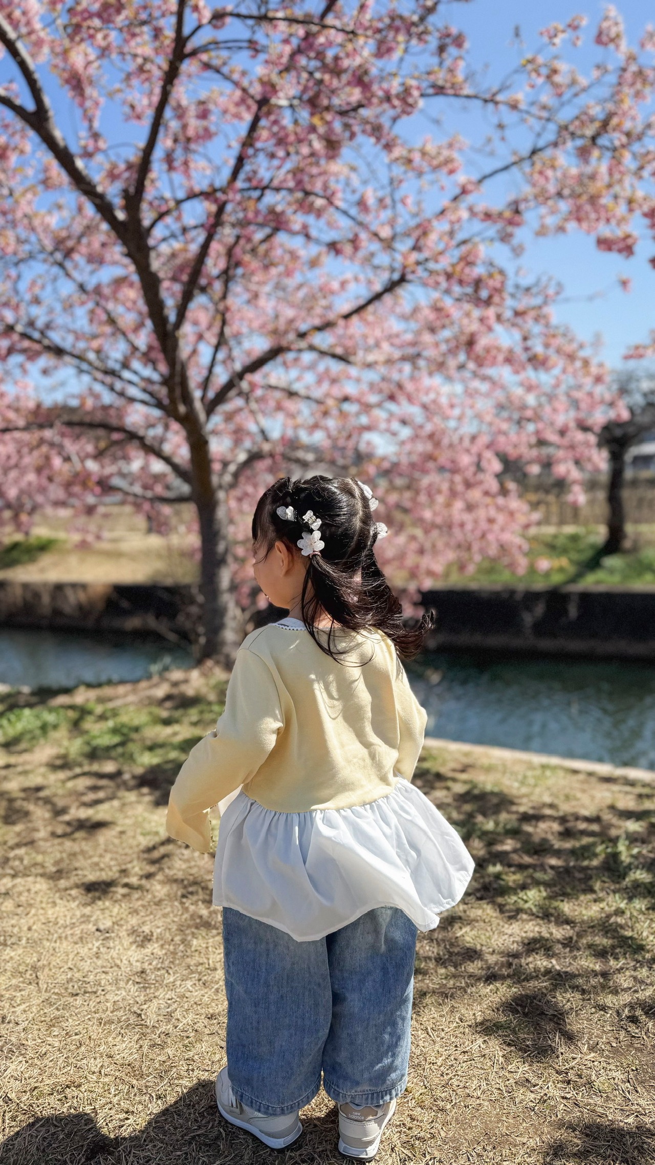 sakura mini vance clip (3set)