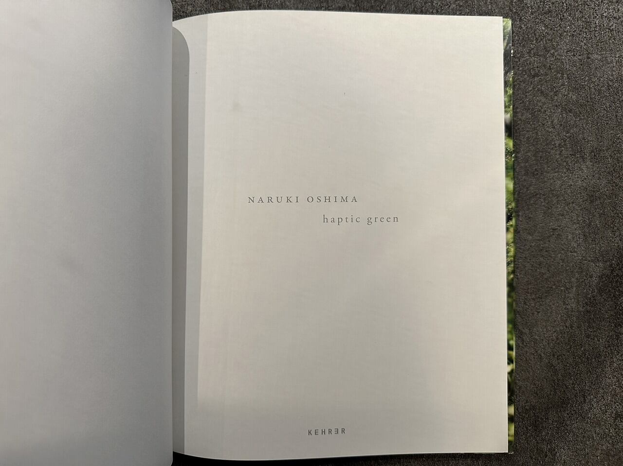 VA631】Naruki Oshima haptic green /大島成己 | KITAZAWA BOOKSTORE