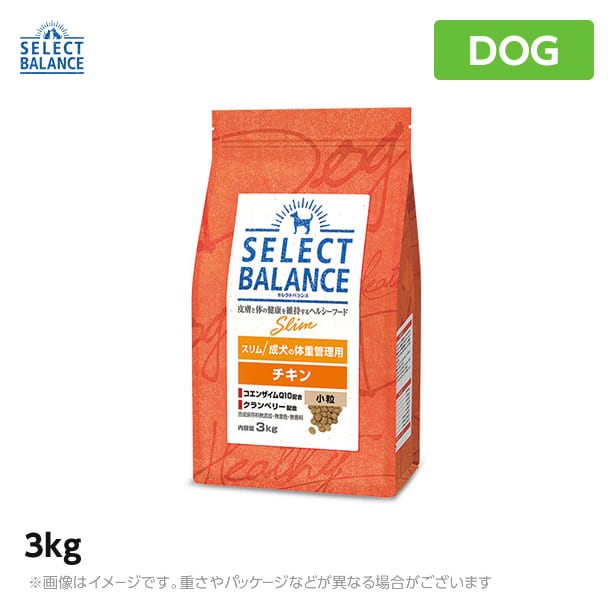 セレクトバランス | schoolofdog～オンラインショップ