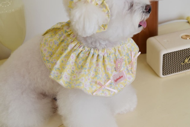 〈即納アイテム〉apple mellow / Flower Print Cape – Yellow