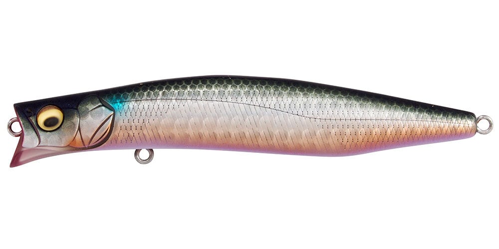 Megabass メガバス カゲロウ 100F [2026年新色] | フィッシング