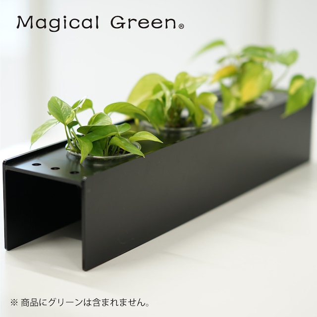 【予約商品】マジカルグリーン・Magical Green 専用スタンド アクリル黒