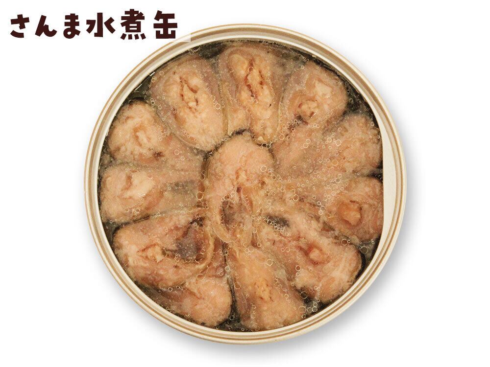 食べ比べ】水煮缶詰セット(さば・さんま・いわし) 3種各4缶 合計12缶