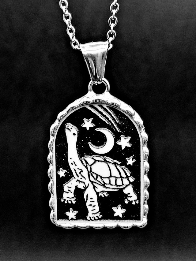 月窓 - ガラパゴスゾウガメ