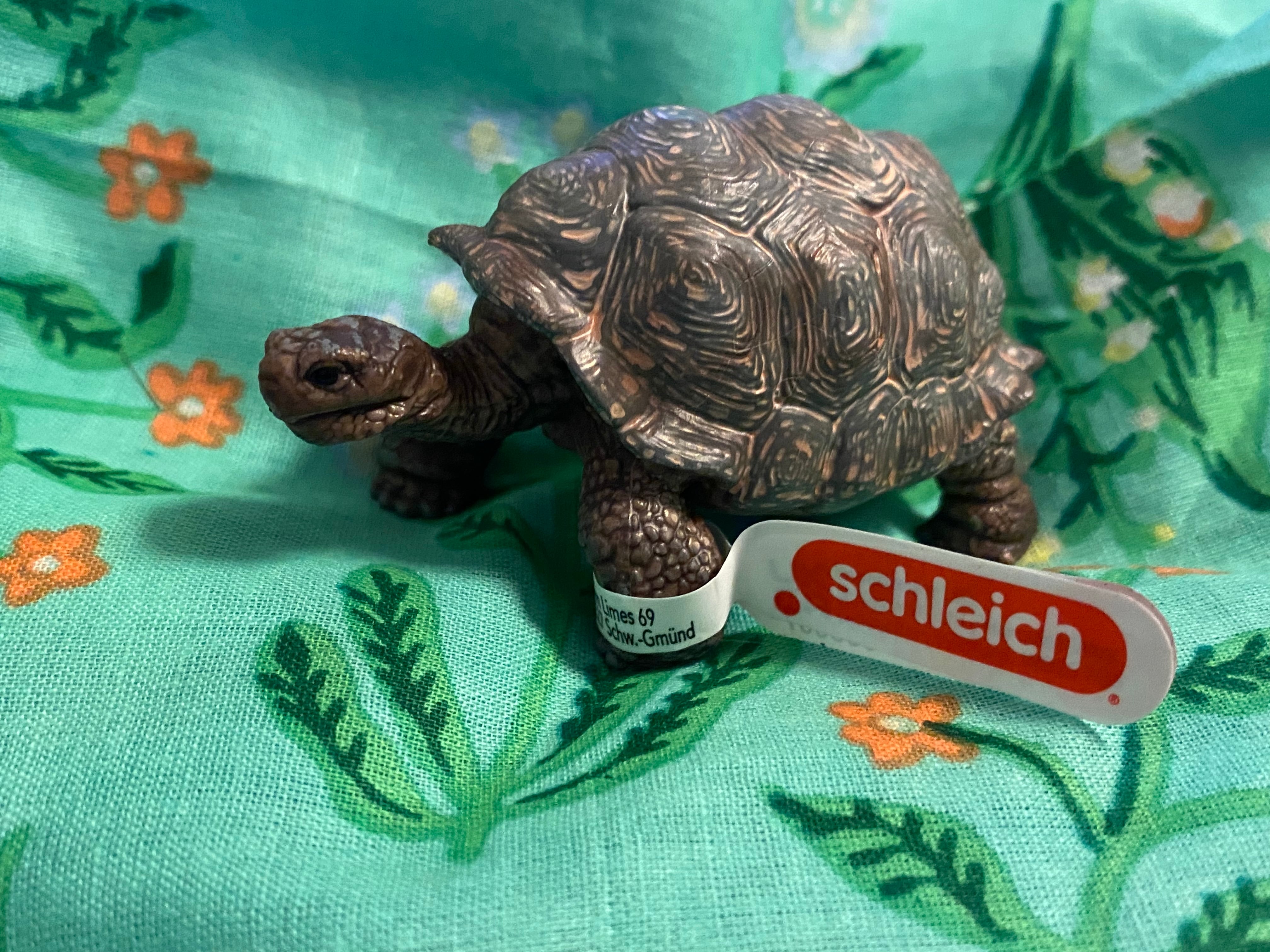 カメフィギュア