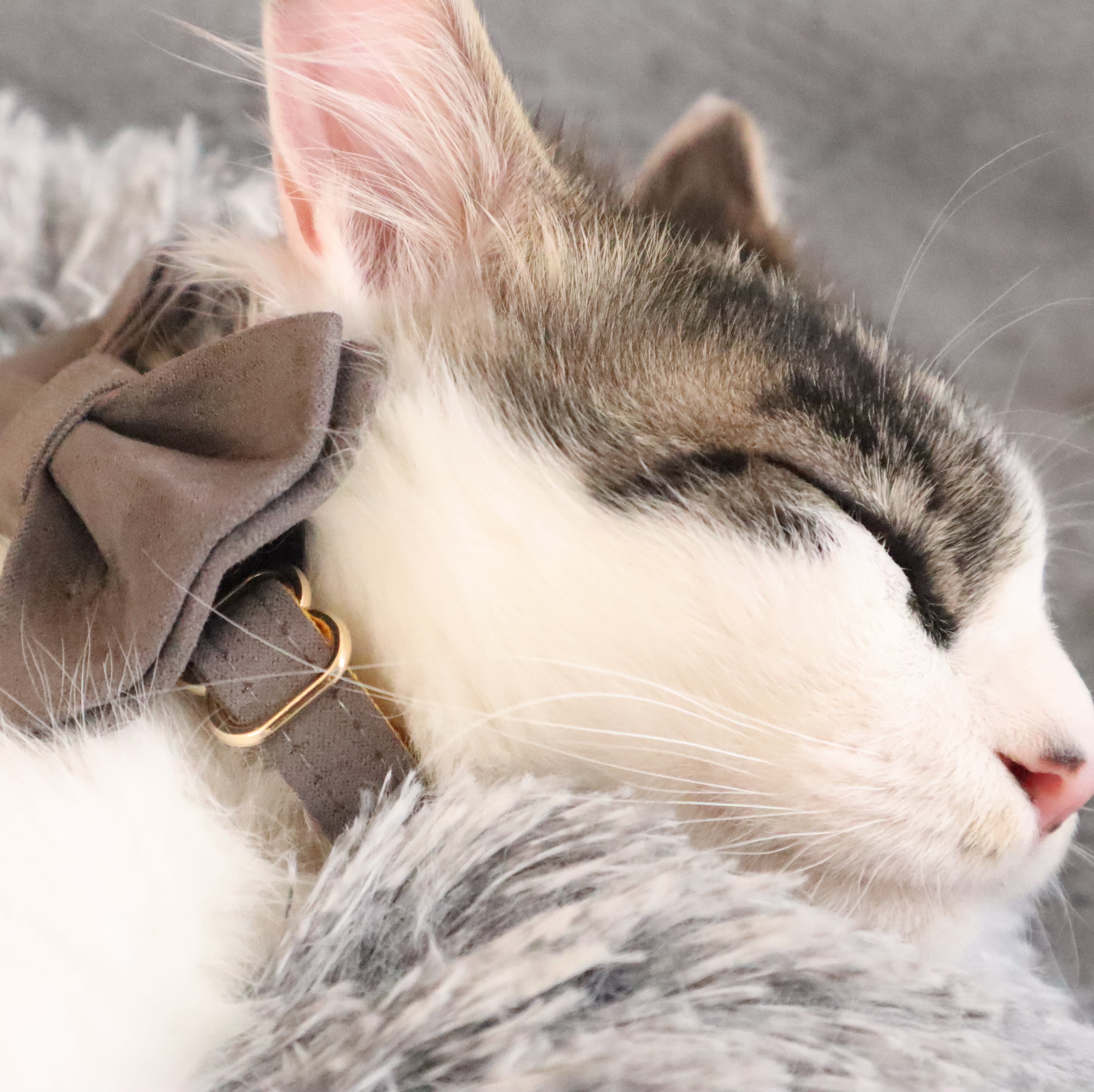 おなまえ猫首輪【セージグリーン×ベルベット】 | neufy