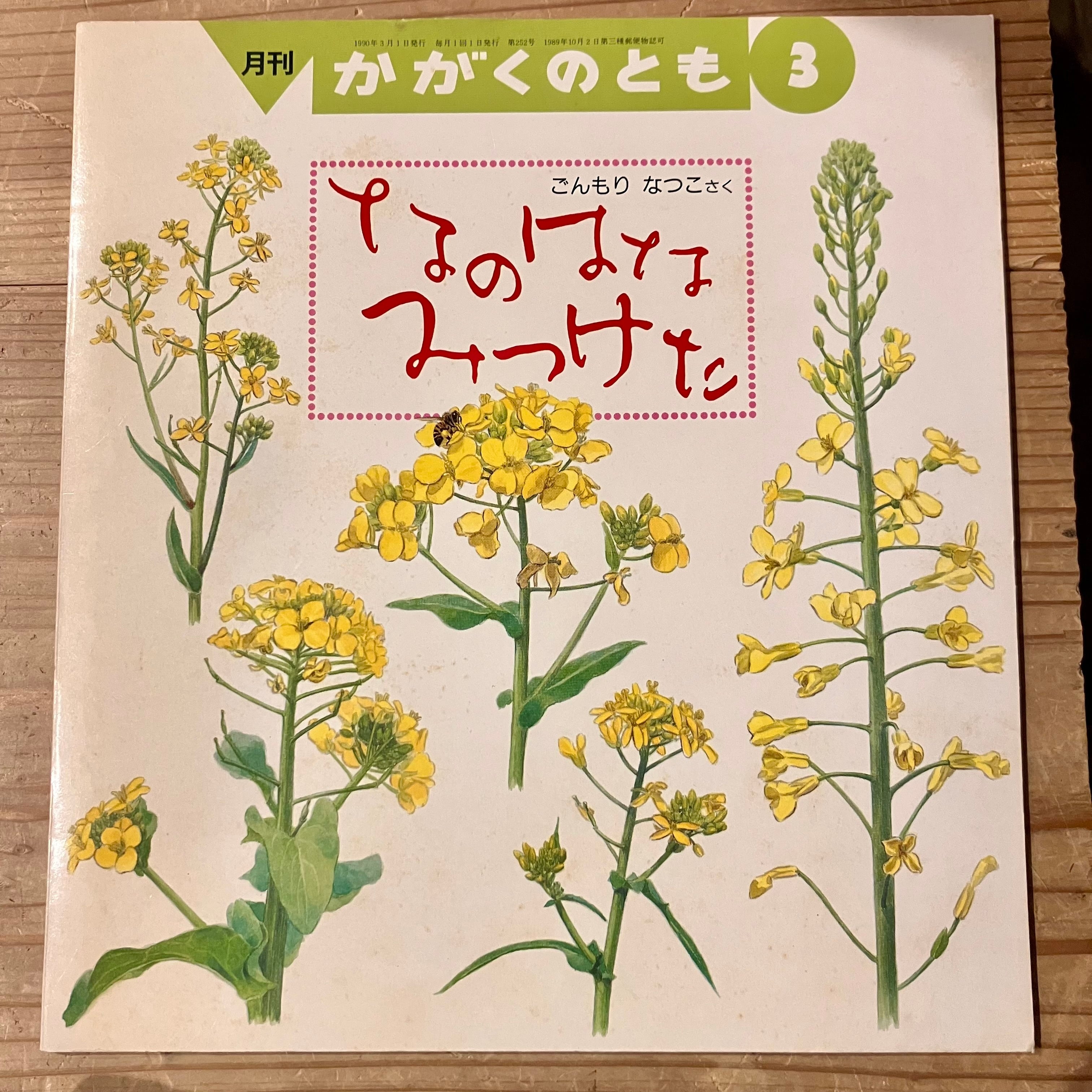入手困難】きいろいはな みつけた／福音館書店｜自然科学絵本・資料的