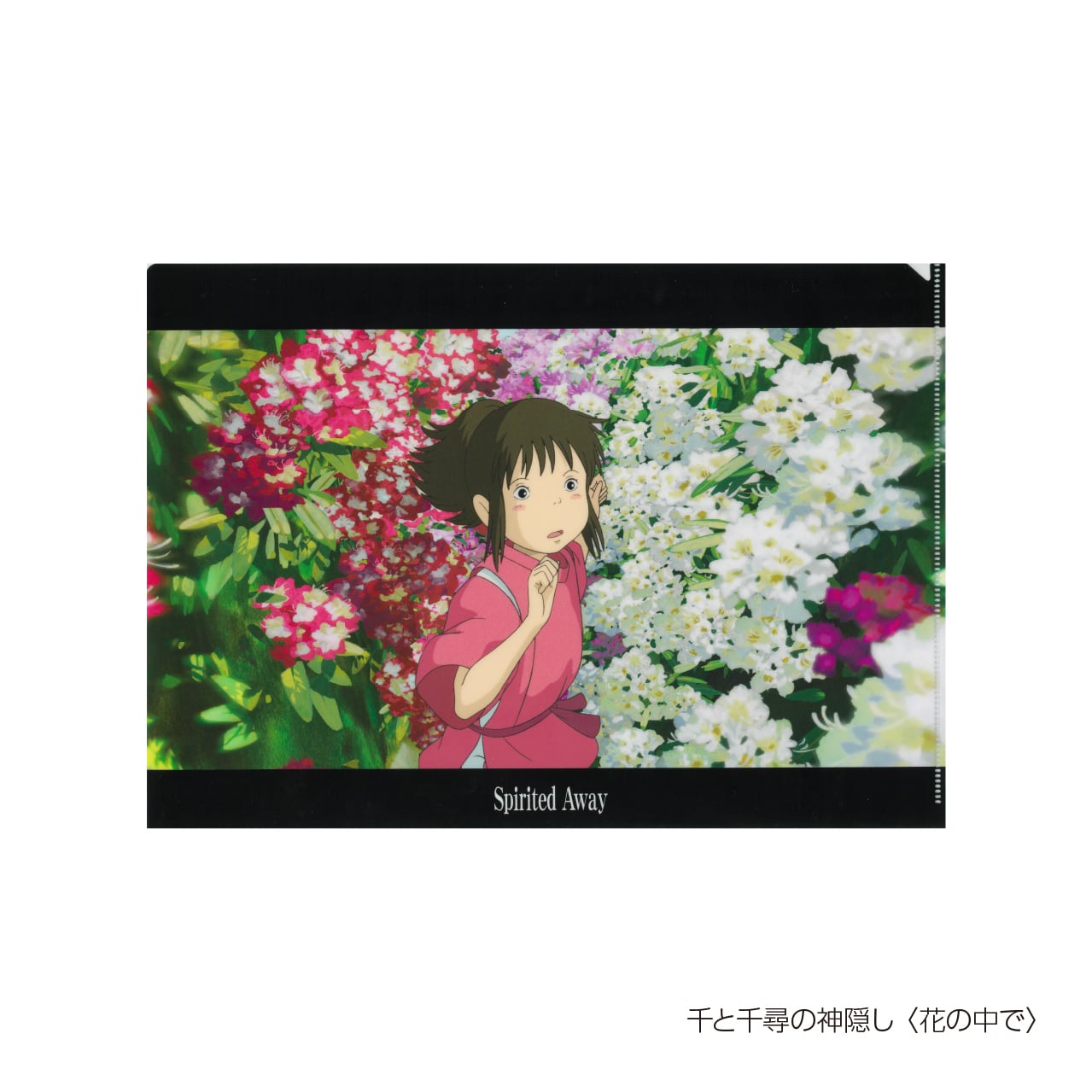 限定品】ジブリ A4クリアファイル | アルファノート(六本木文房具店)