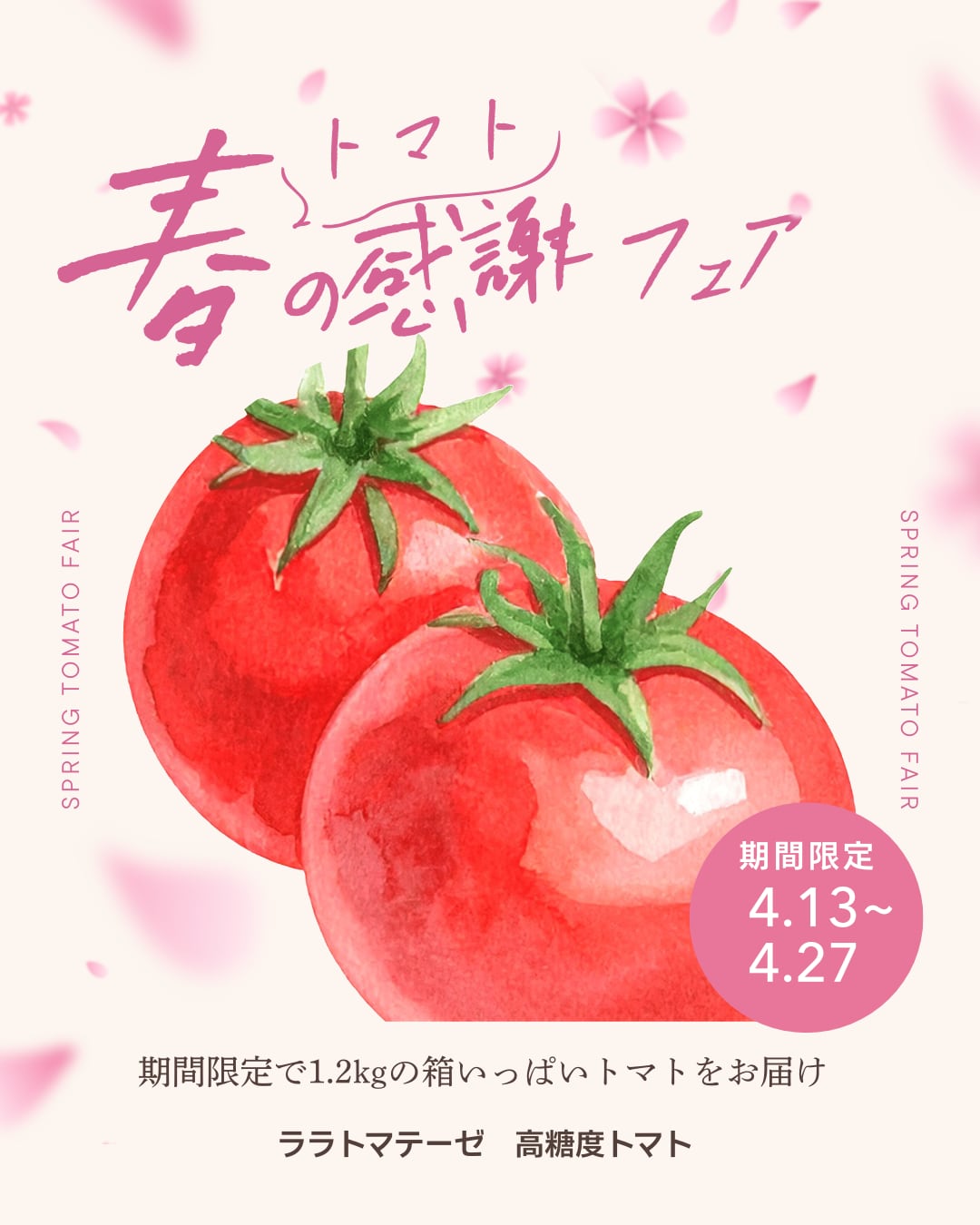 春のトマト感謝フェア【送料別途】ララ・トマテーゼ 高糖度トマト 1.2kgお徳用BOX