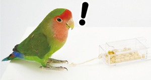 【三晃商会】 フォージングトイ ひっぱりボックス