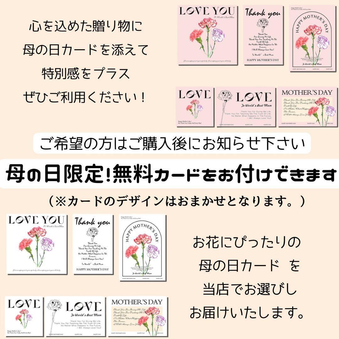 光触媒フラワー「スプリング・パレット」ミモザとパンジーの贅沢