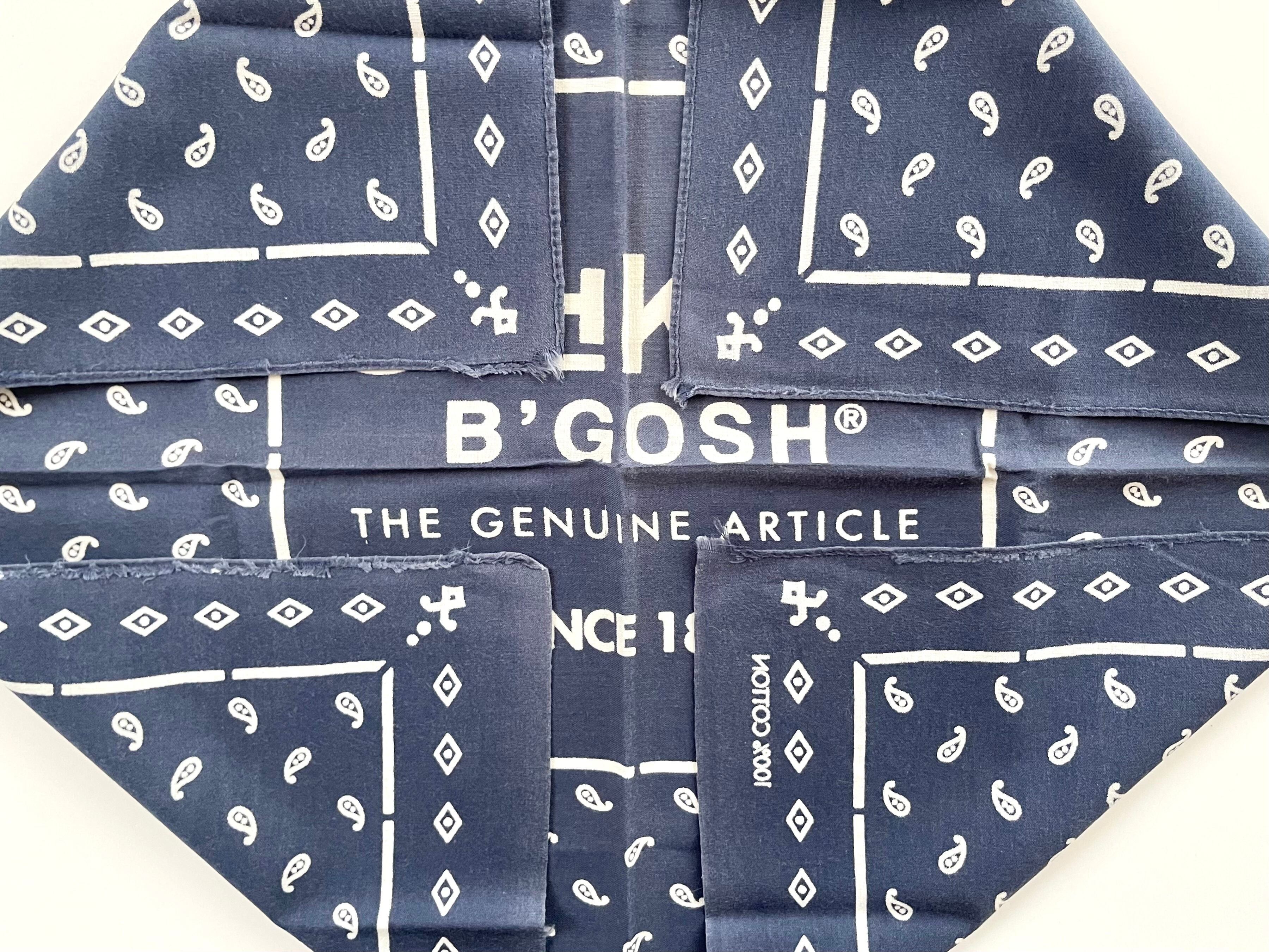 Paisley】オシュコシュ(OSHKOSH) ヴィンテージバンダナ 紺 | swallows
