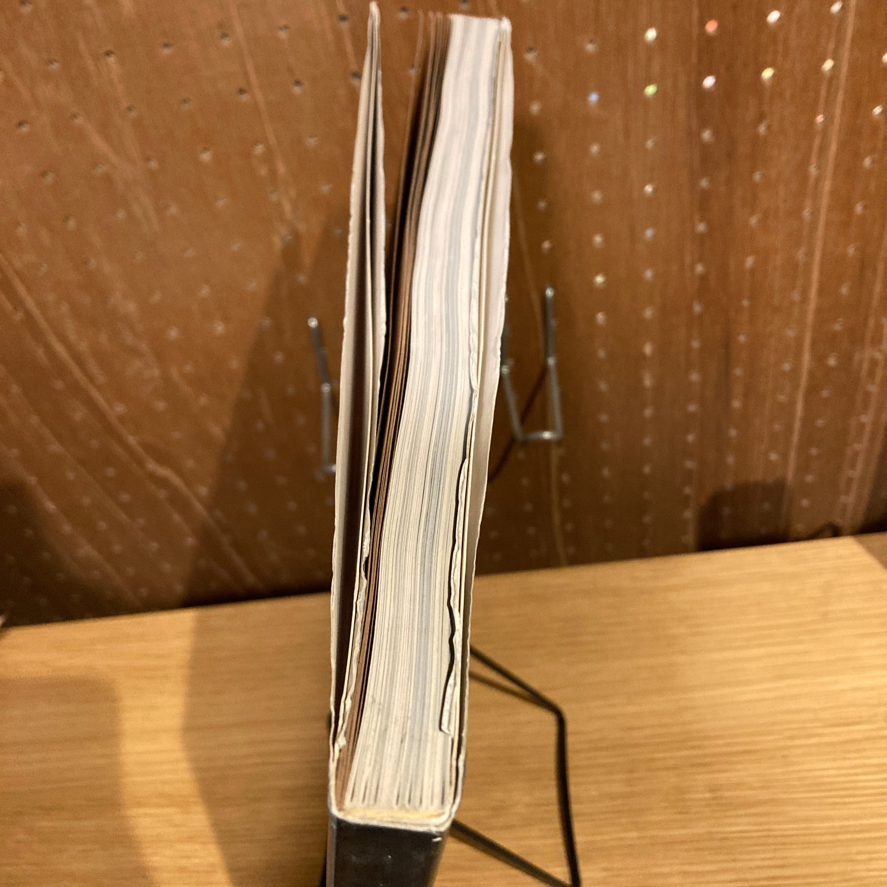 Paul McCarthy: Phaidon Contemporary Artists Series / ポール