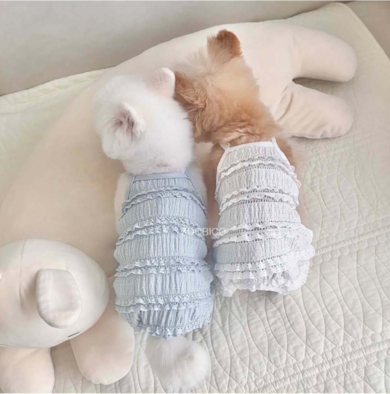 予約  【pecoramou select】  Wedding allinone（White）