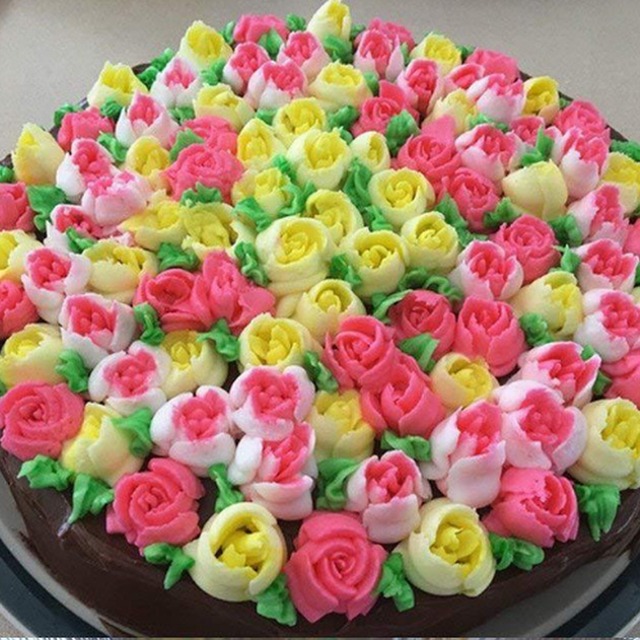 手作り ケーキ デコレーション 絞り袋3枚 葉っぱ絞り口1個付き フラワー お菓子 クリスマス パーティー 誕生日 記念日 生クリーム絞り口 花7種類 Reyn In The Sun 手作り ケーキ デコレーション 絞り袋3枚 葉っぱ絞り口1個付き フラワー お菓子 クリスマス パーティー 誕生日 記念日 生クリーム絞り口 花7種類 Reyn In The Sun