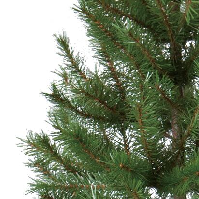 １８０ｃｍリアルルックツリー　グリーン系　CAA-151　4961823751677　クリスマス雑貨 > ポピーオリジナル