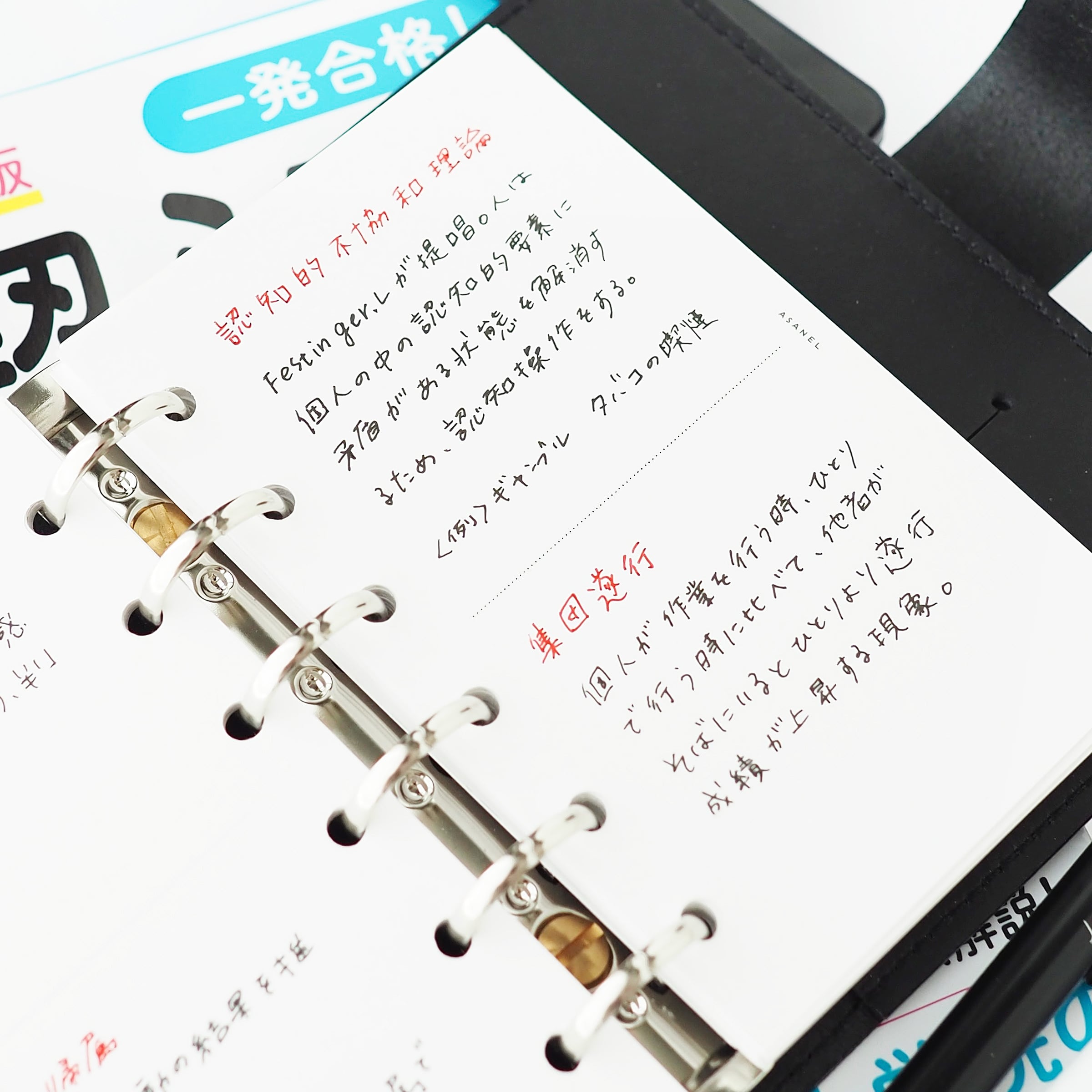 M6 ] ハーフ｜両面｜カケラリフィル | ASANEL