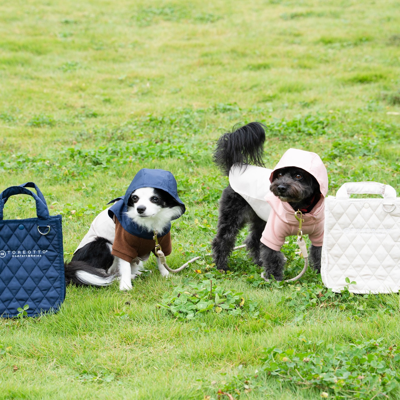 38DOG RAINCORT / NAVY