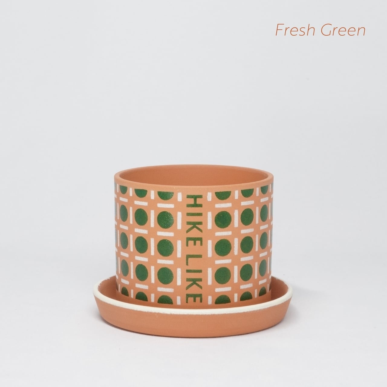 SPACE MODERN / Fresh Green