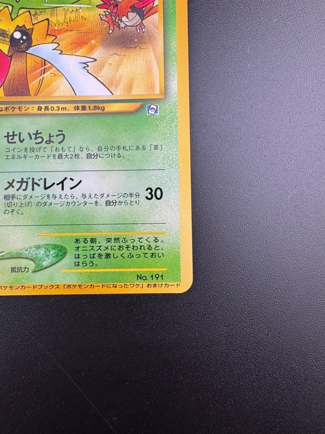 ☆PSA10 ヒマナッツ LV.16 旧裏 プロモ ポケモンカードになったワケ