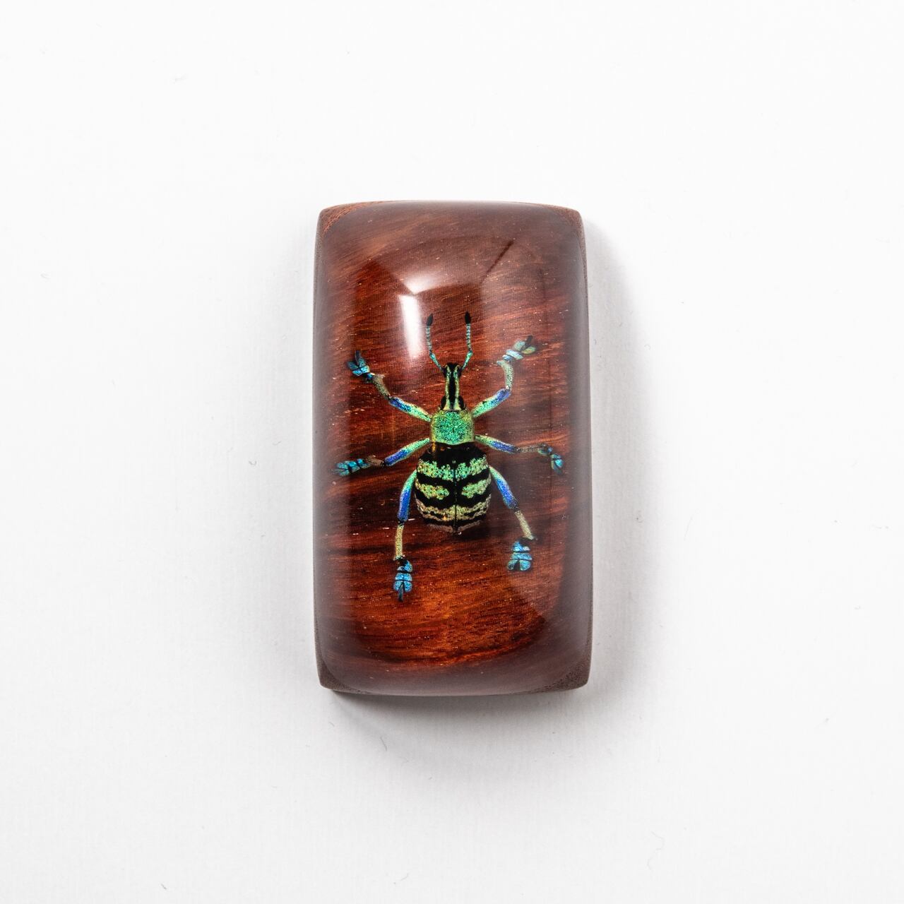 ホウセキゾウムシ / 台座:花梨 / JELLY BUGS | PEPS