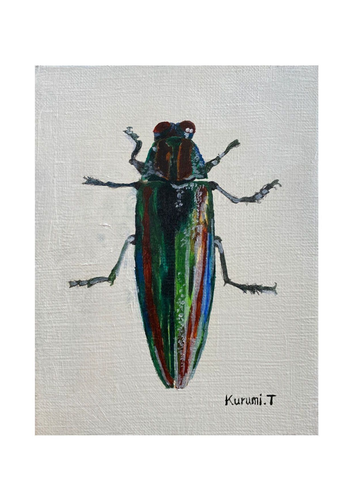 ニホンタマムシのポストカード | tamakikurumi