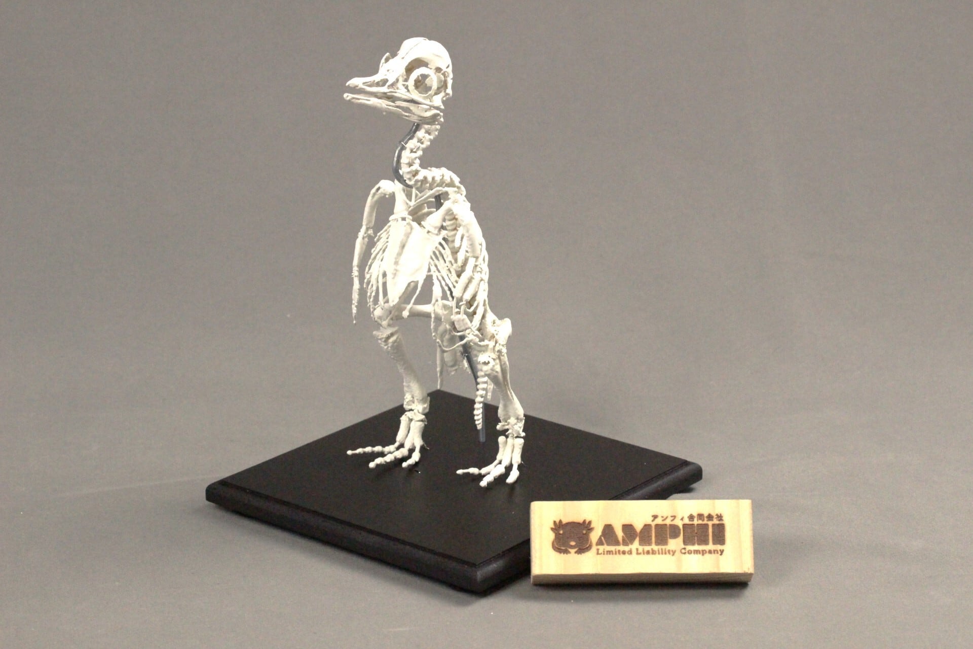 着色無し】始祖鳥レプリカ 約12㎝ | アンフィ合同会社