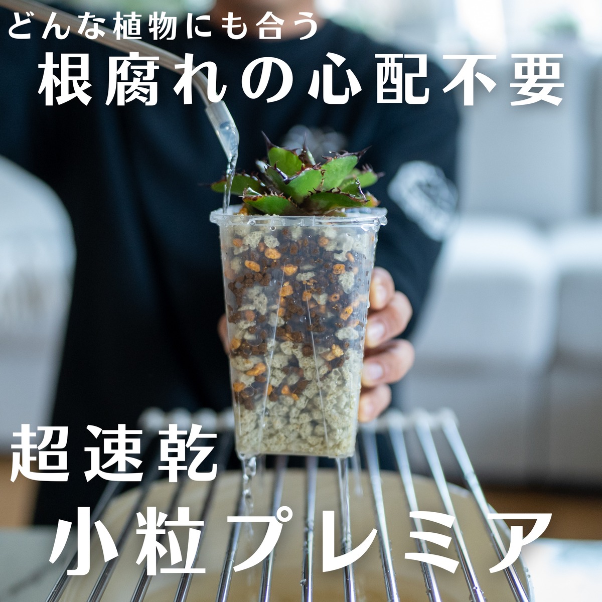 マナソル｜アガベ・塊根の土 速乾小粒プレミア 10L | manasgreen