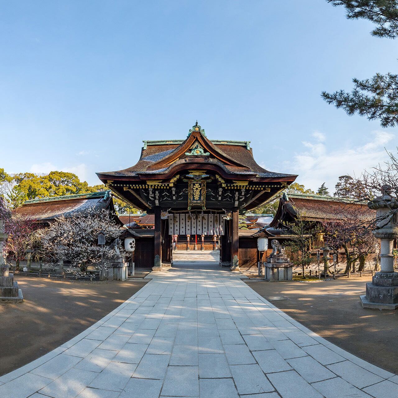 梅の花が咲く北野天満宮