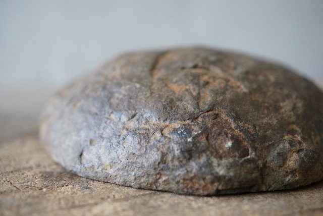 セプタリア　Septaria　754