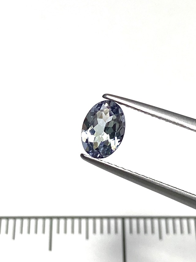 13.バイカラーゾイサイト［No.HA-698］