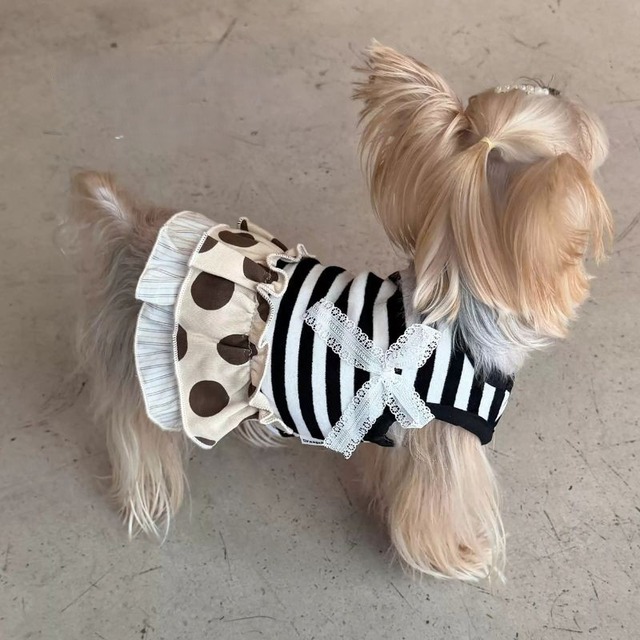 ボーダー×ドットデザインワンピース　犬服　01355