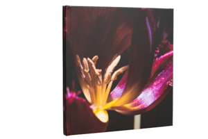 冨田実布写真集「朽ちること、それも咲くこと」